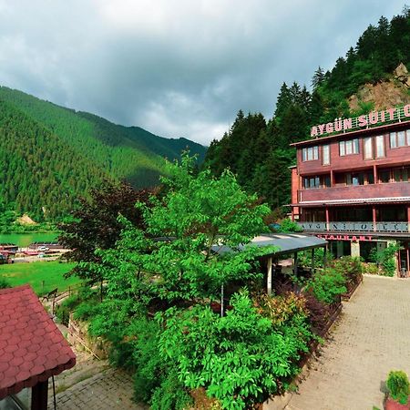 Ayguen Suites Hotel&Bungalow Uzungoel Экстерьер фото