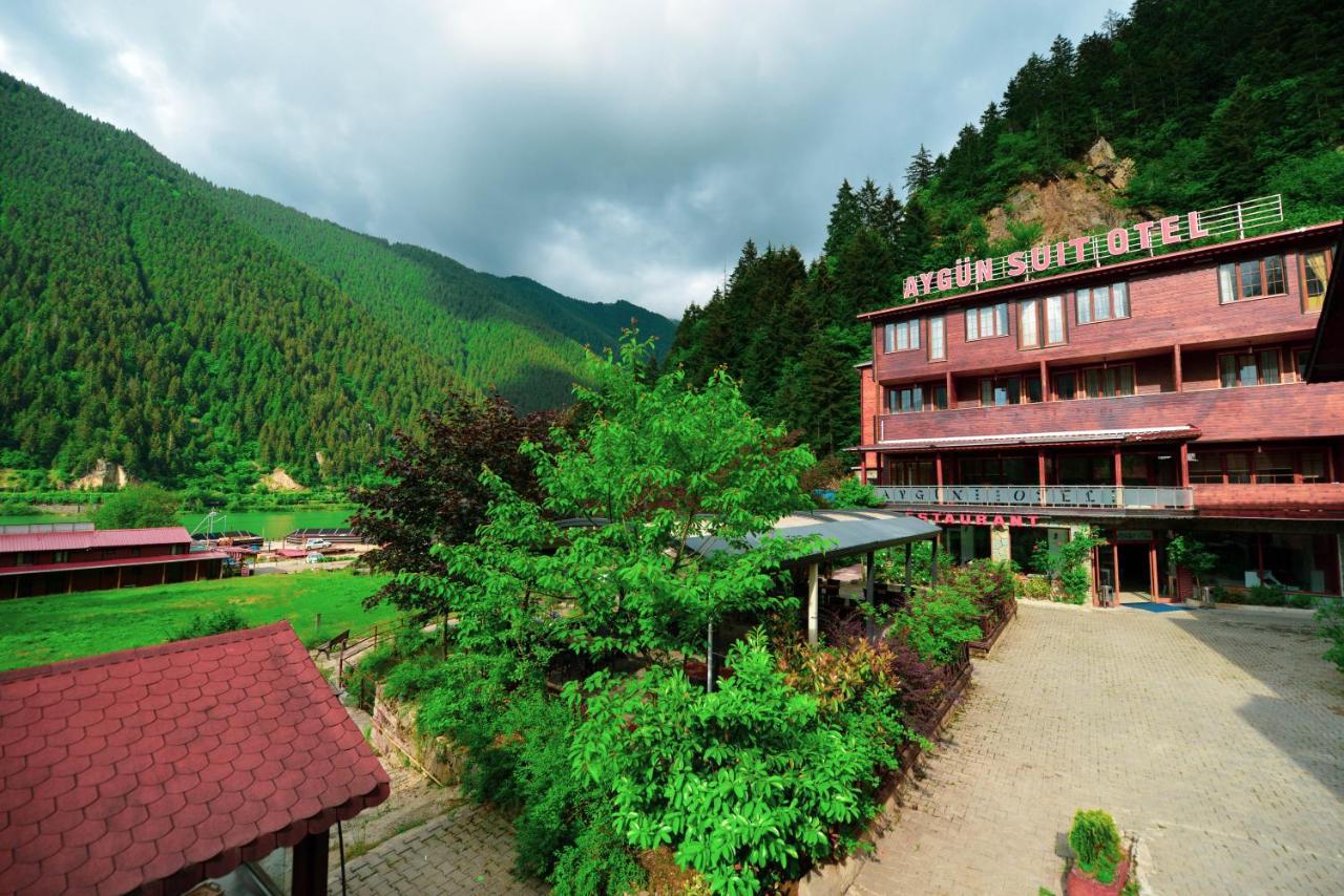 Ayguen Suites Hotel&Bungalow Uzungoel Экстерьер фото