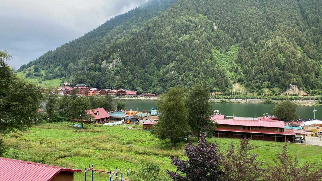 Ayguen Suites Hotel&Bungalow Uzungoel Экстерьер фото